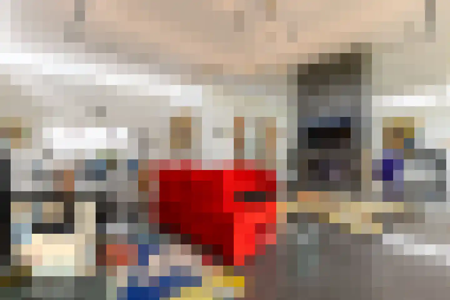 Battenoordsedijk 17 Nieuwe-Tonge thumbnail 18