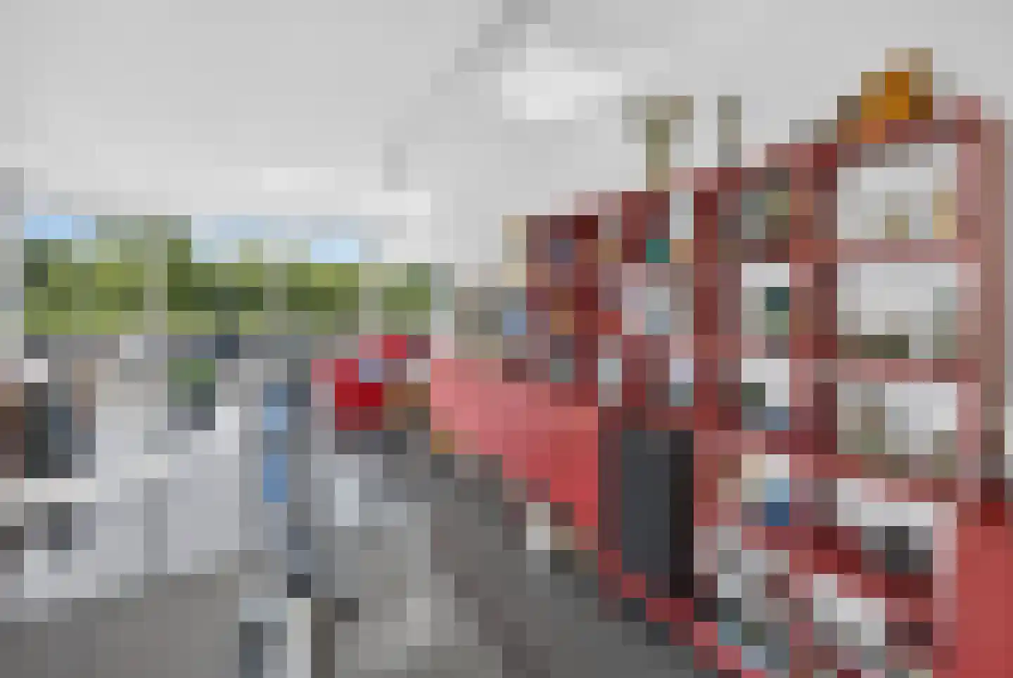 Battenoordsedijk 17 Nieuwe-Tonge thumbnail 21