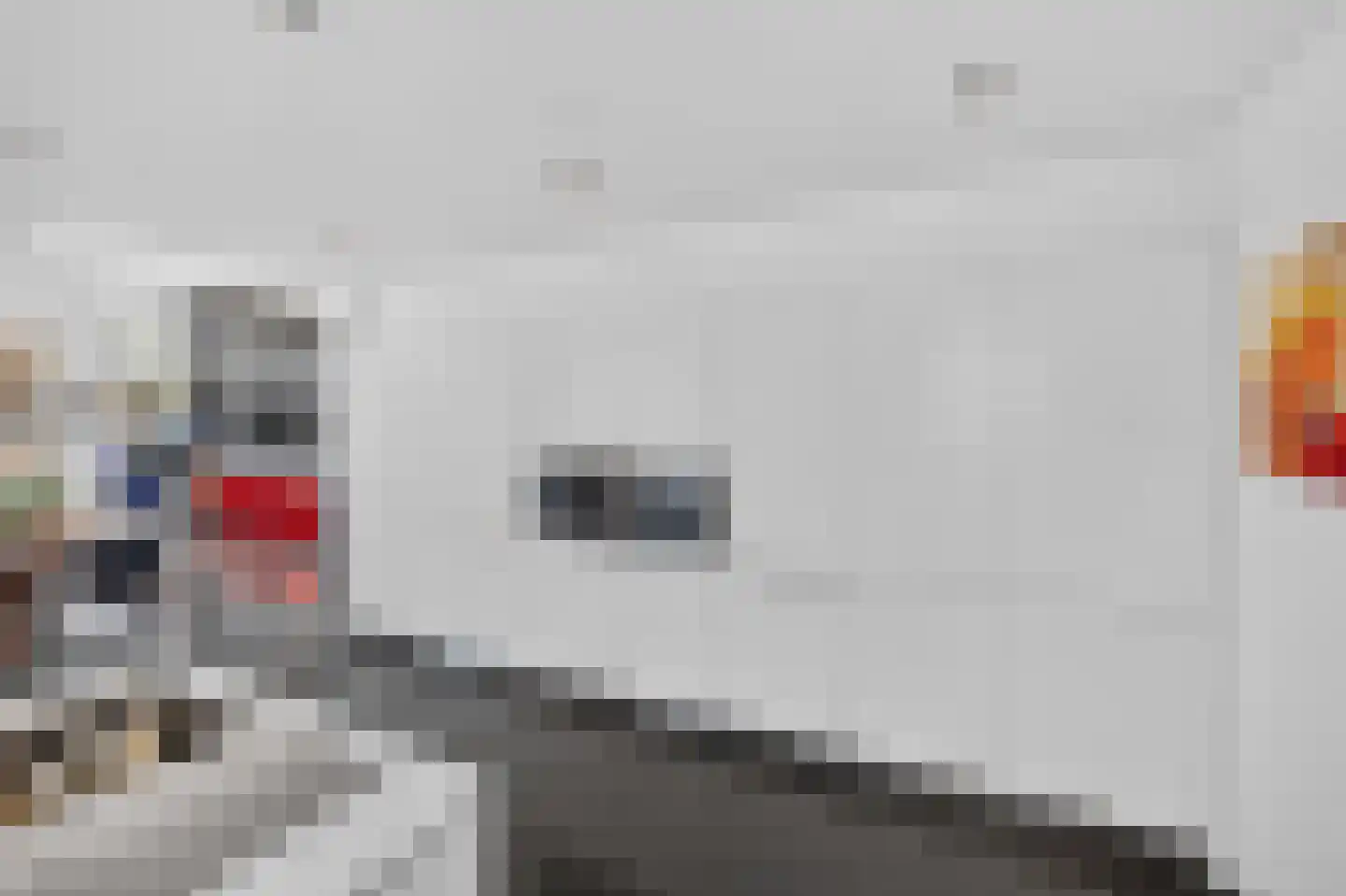 Battenoordsedijk 17 Nieuwe-Tonge thumbnail 25