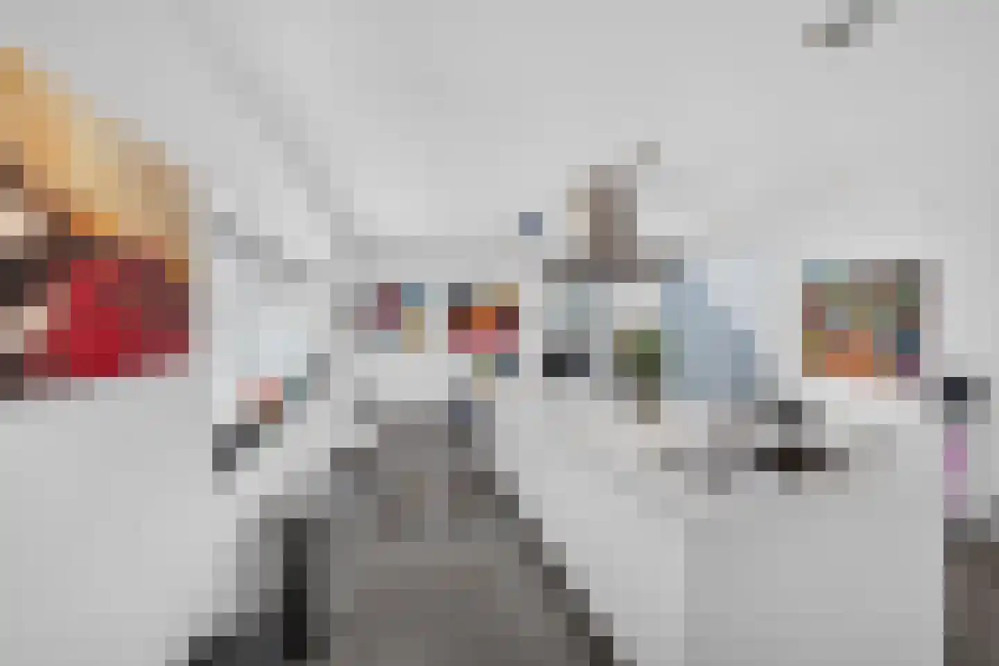 Battenoordsedijk 17 Nieuwe-Tonge thumbnail 26