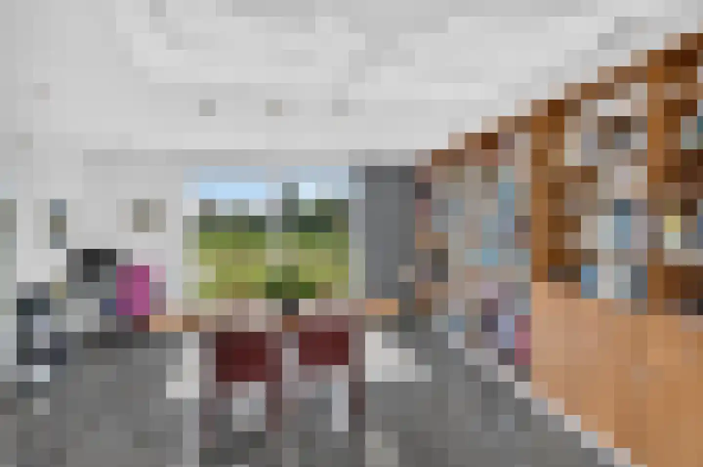 Battenoordsedijk 17 Nieuwe-Tonge thumbnail 33