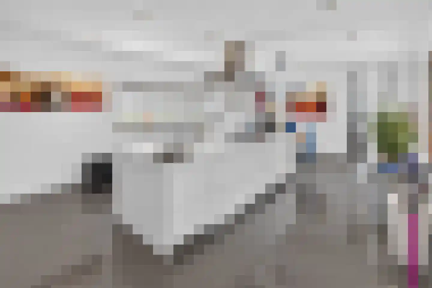 Battenoordsedijk 17 Nieuwe-Tonge thumbnail 4