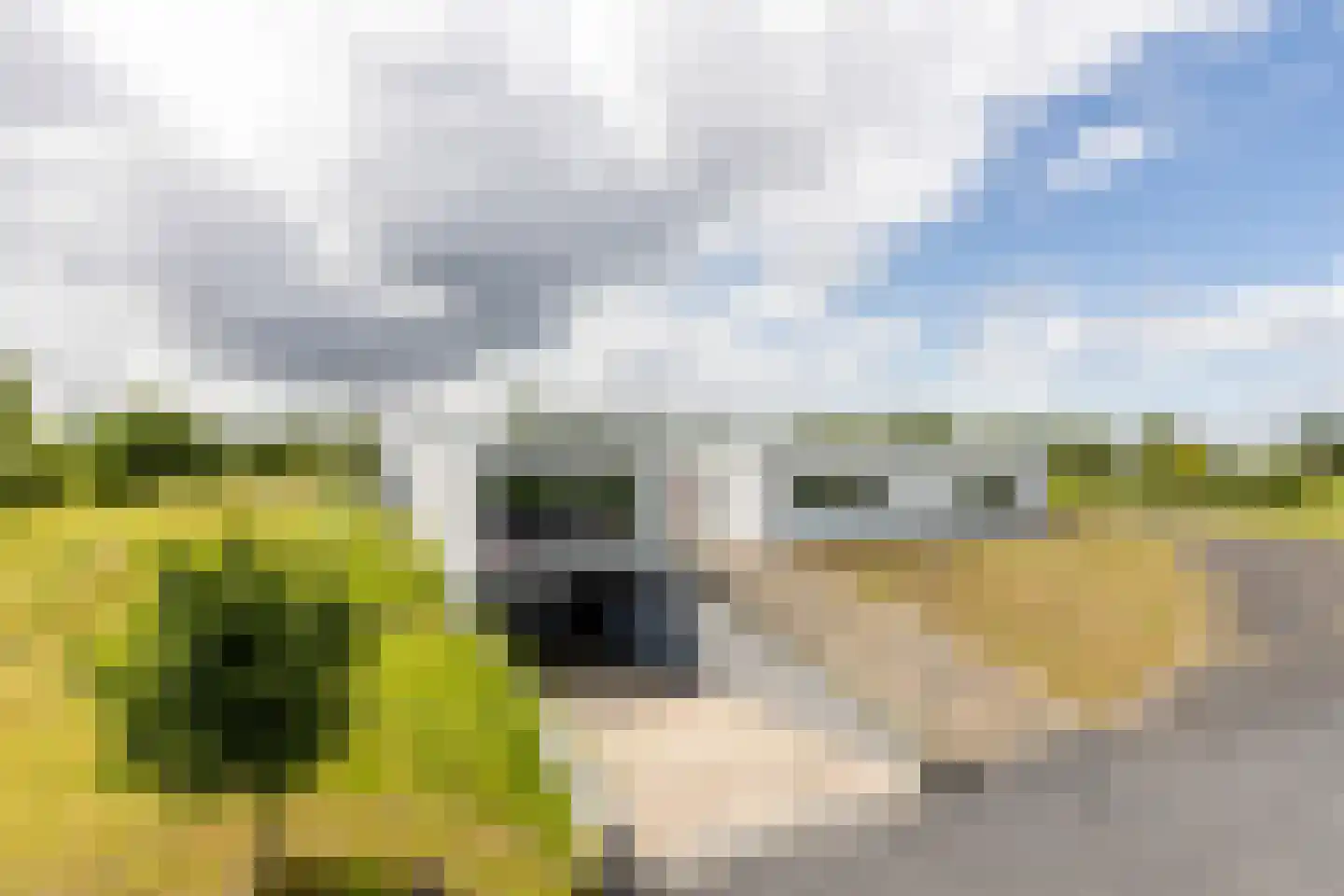 Battenoordsedijk 17 Nieuwe-Tonge thumbnail 5