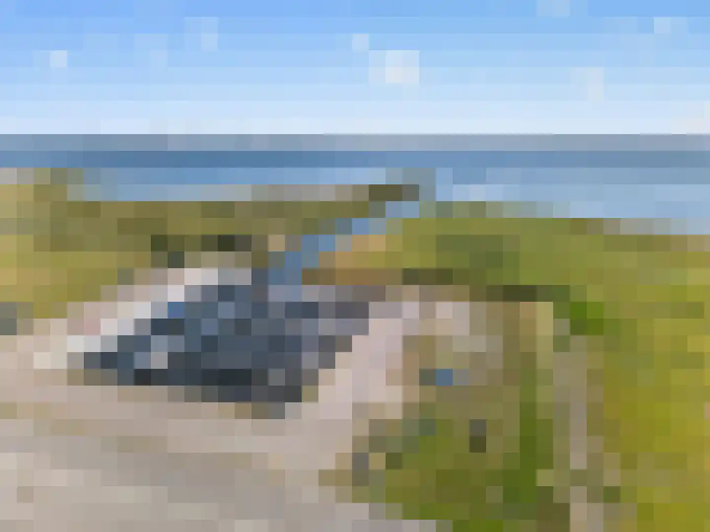 Battenoordsedijk 17 Nieuwe-Tonge thumbnail 52
