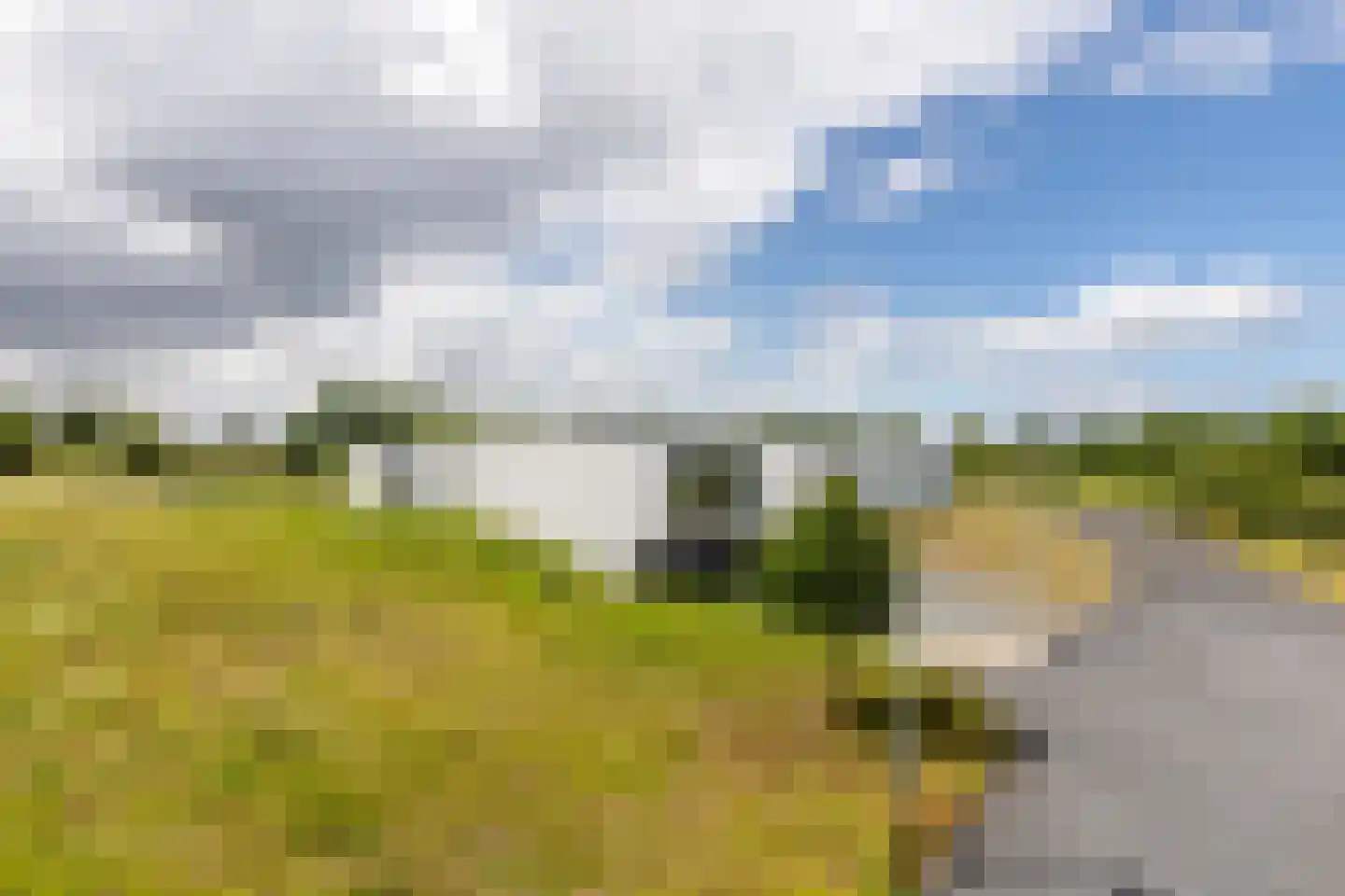 Battenoordsedijk 17 Nieuwe-Tonge thumbnail 58