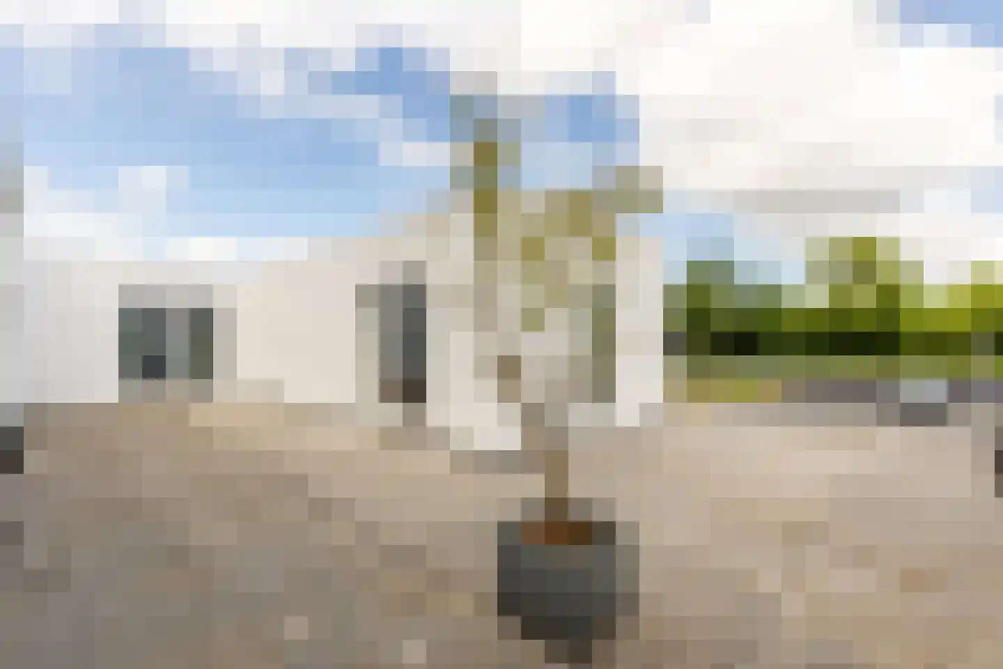 Battenoordsedijk 17 Nieuwe-Tonge thumbnail 7