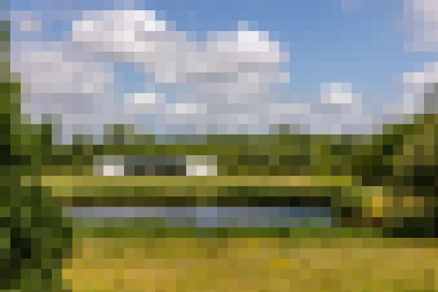 Battenoordsedijk 17 Nieuwe-Tonge thumbnail 80
