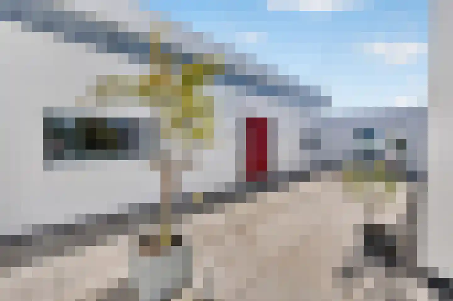 Battenoordsedijk 17 Nieuwe-Tonge thumbnail 9