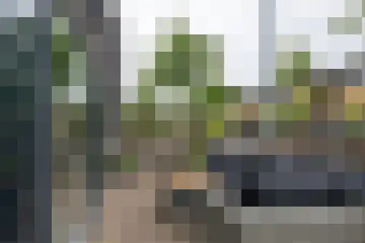 Batterij 7 Vijfhuizen thumbnail 14
