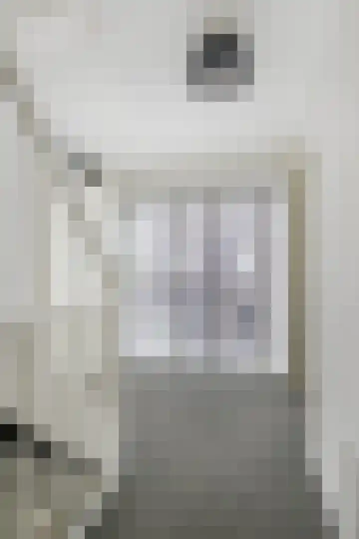 Batterij 7 Vijfhuizen thumbnail 23