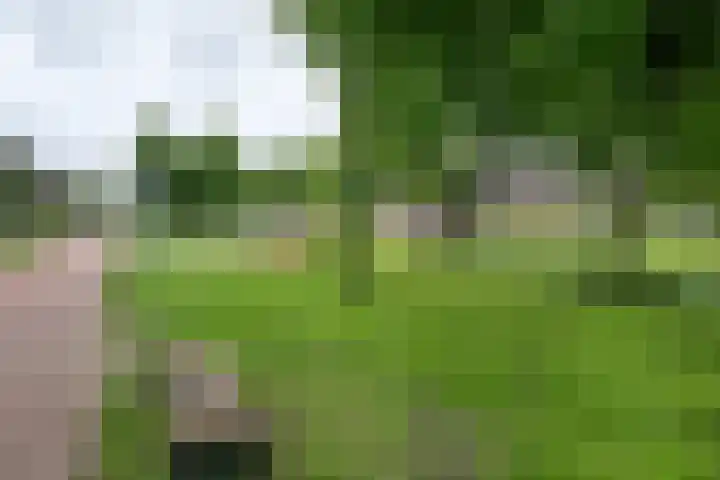Batterij 7 Vijfhuizen thumbnail 32
