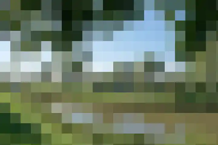 Batterij 7 Vijfhuizen thumbnail 33