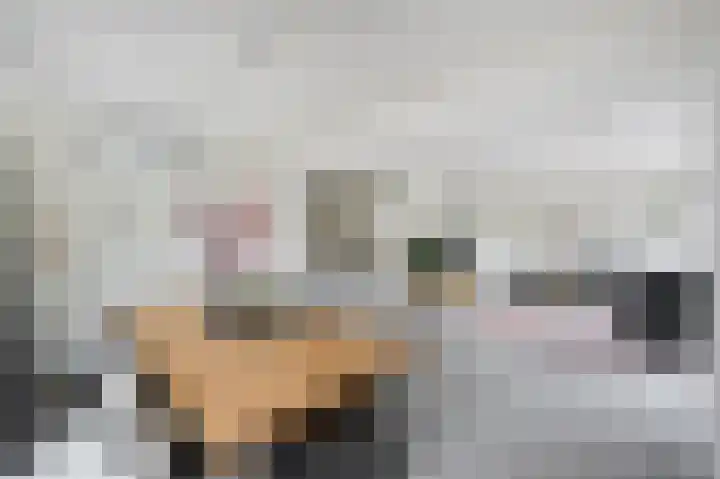 Batterij 7 Vijfhuizen thumbnail 6