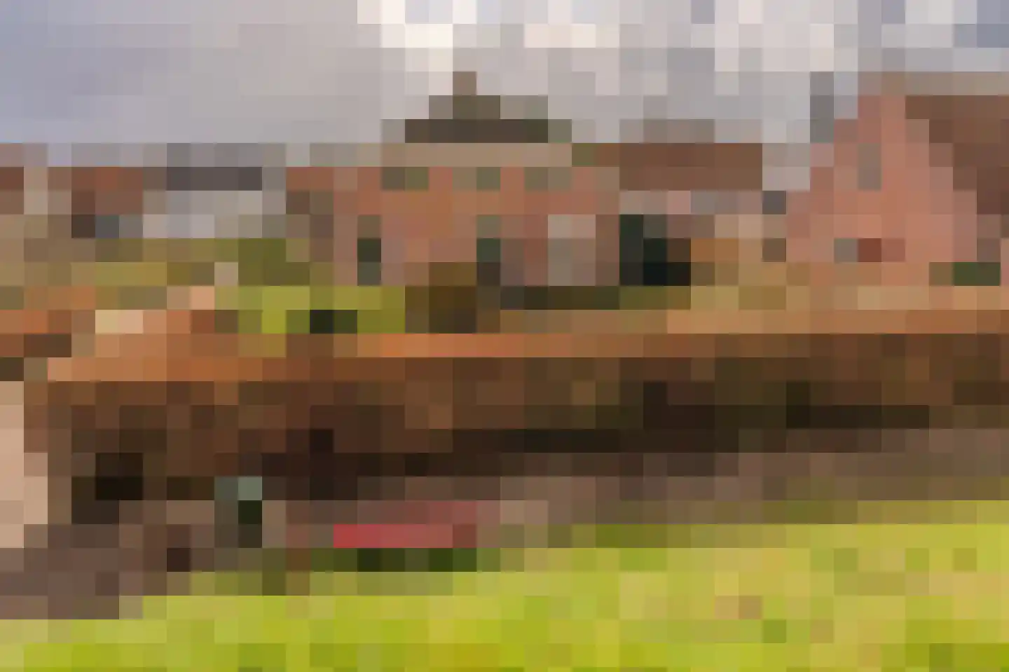 Batterijenstraat 1 Bourtange thumbnail 14