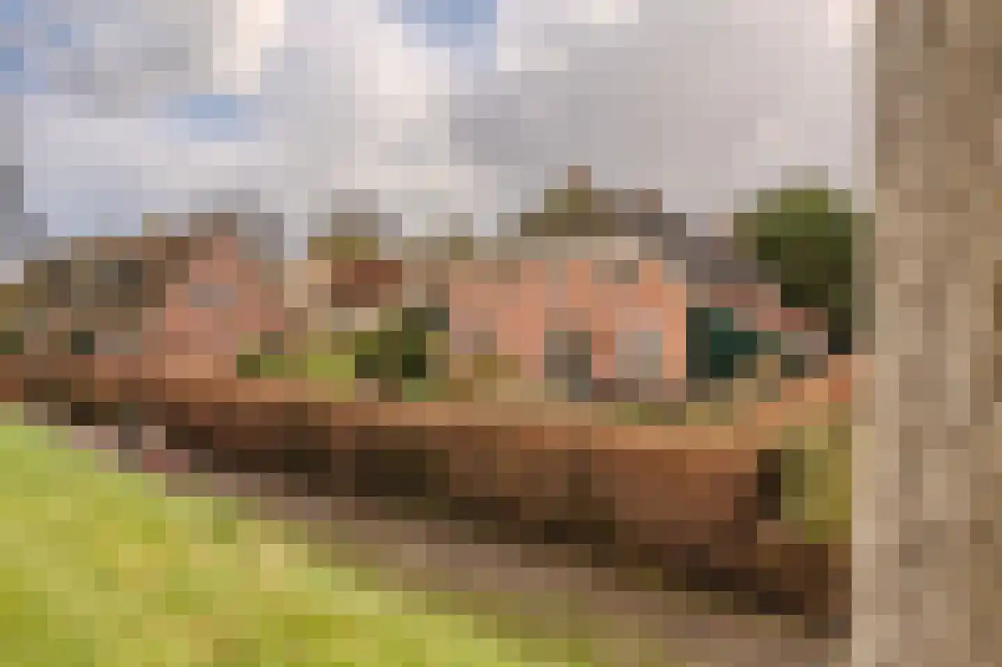 Batterijenstraat 1 Bourtange thumbnail 15