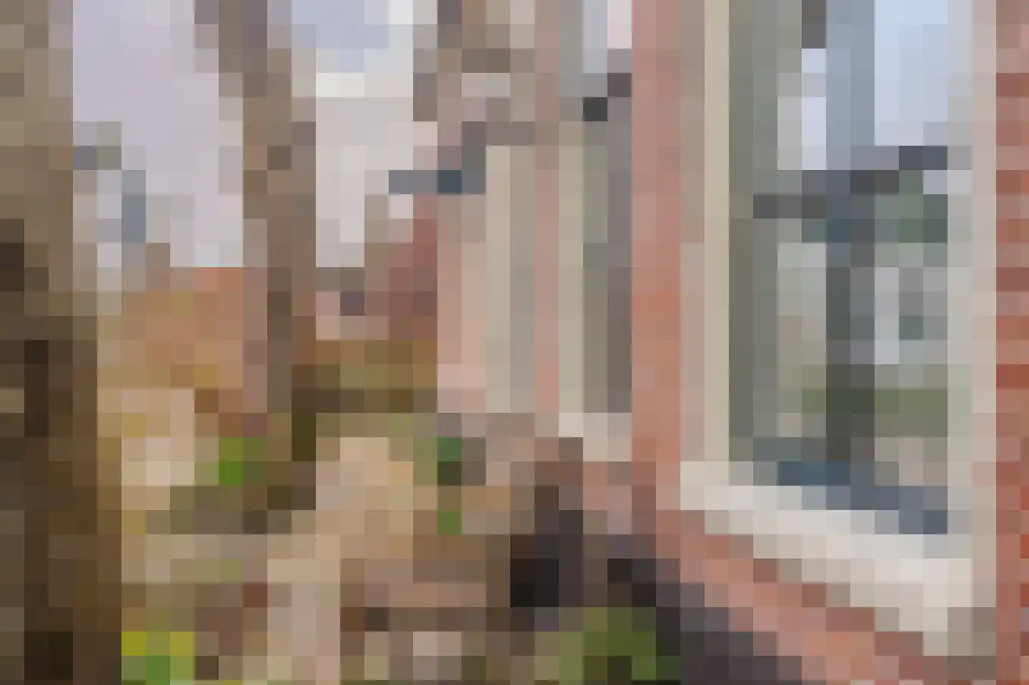 Batterijenstraat 1 Bourtange thumbnail 17