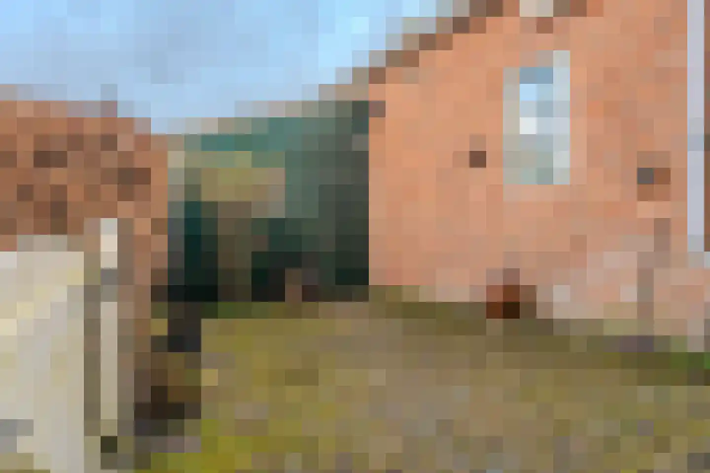 Batterijenstraat 1 Bourtange thumbnail 25