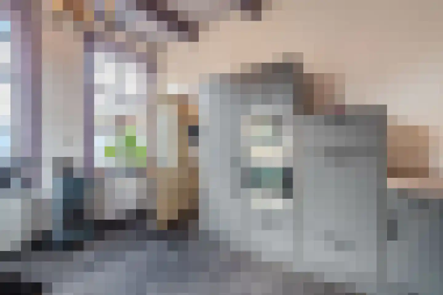 Batterijenstraat 1 Bourtange thumbnail 31