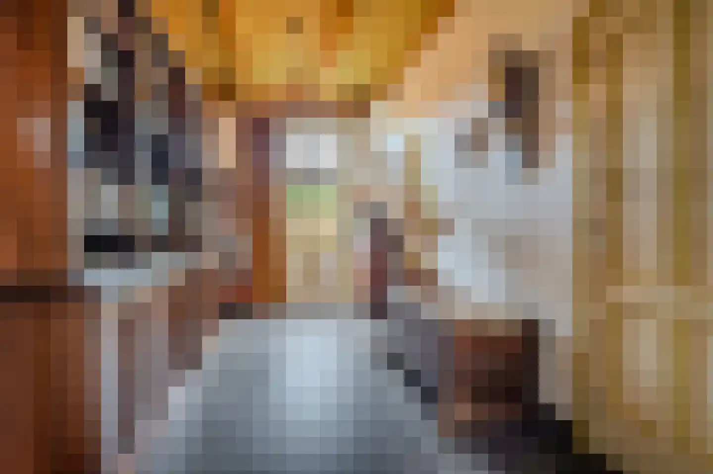 Batterijenstraat 1 Bourtange thumbnail 39