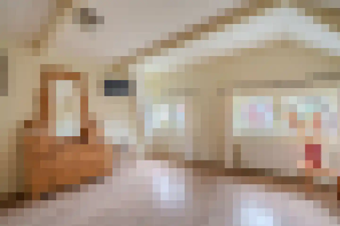 Batterijenstraat 1 Bourtange thumbnail 52