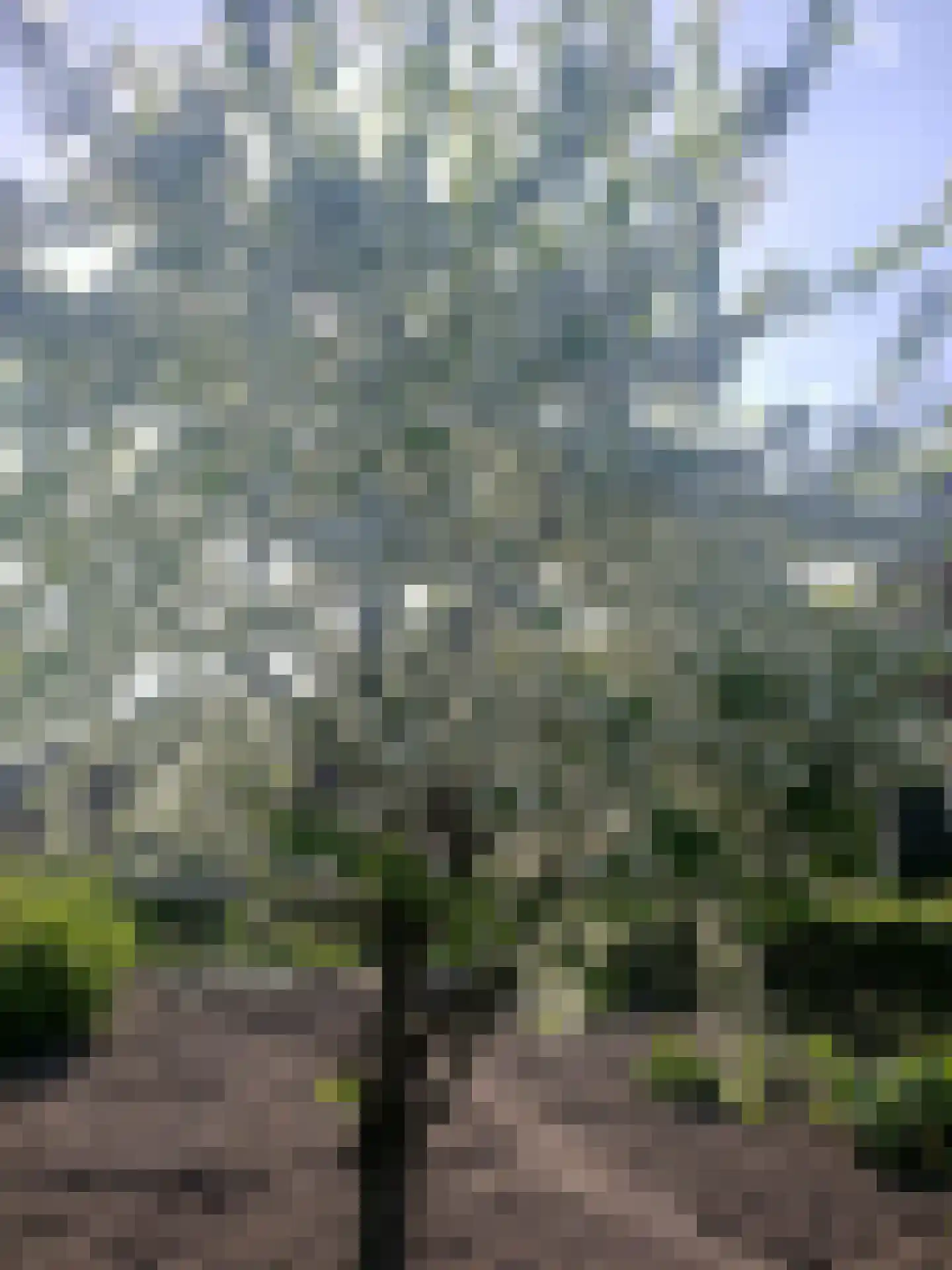 Batterijenstraat 1 Bourtange thumbnail 61
