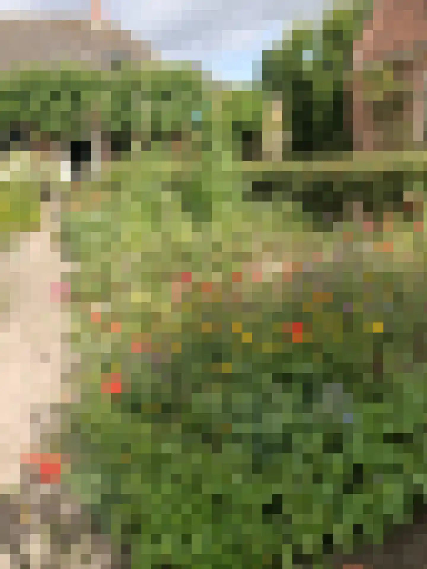 Batterijenstraat 1 Bourtange thumbnail 62