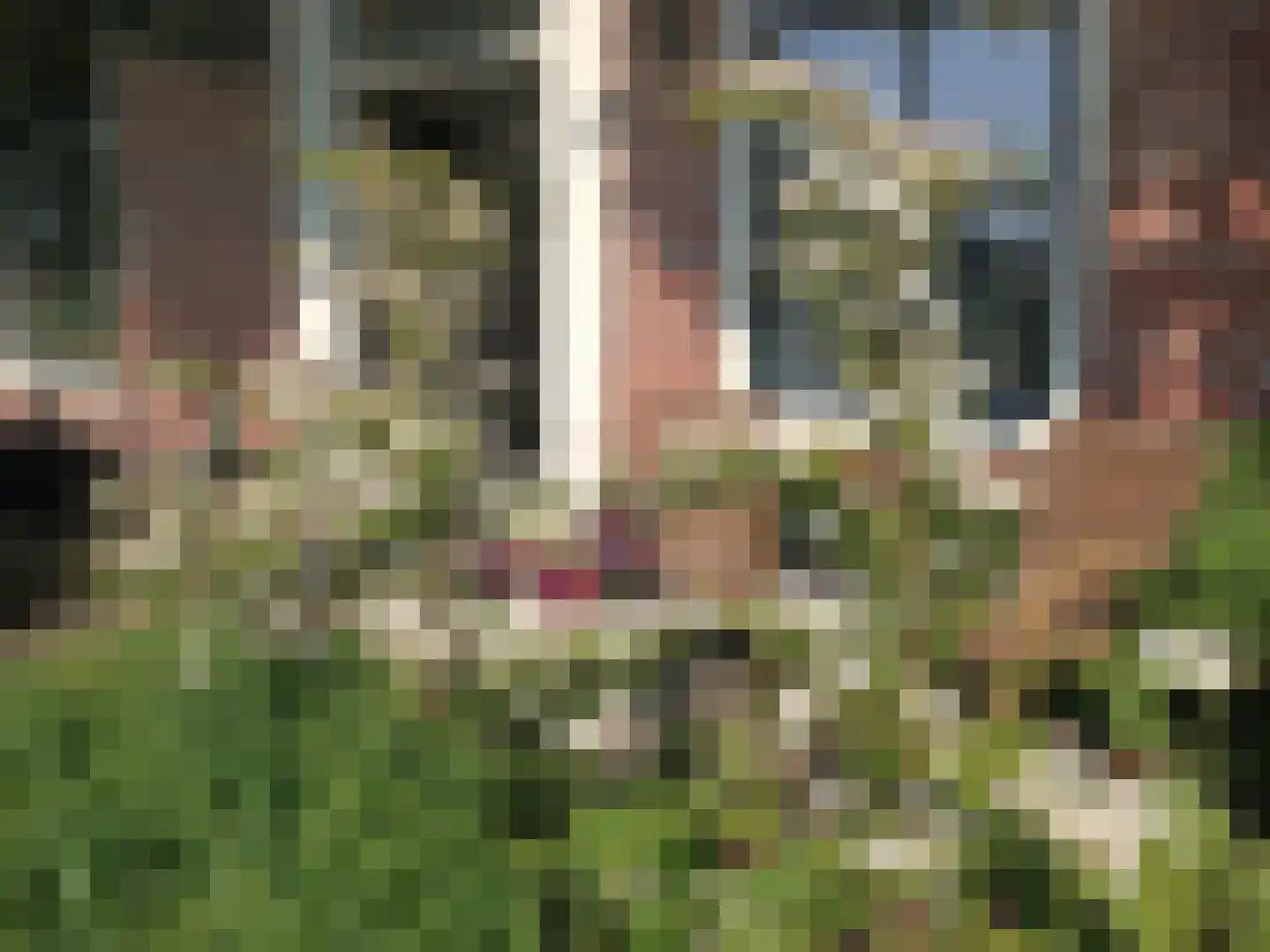 Batterijenstraat 1 Bourtange thumbnail 65