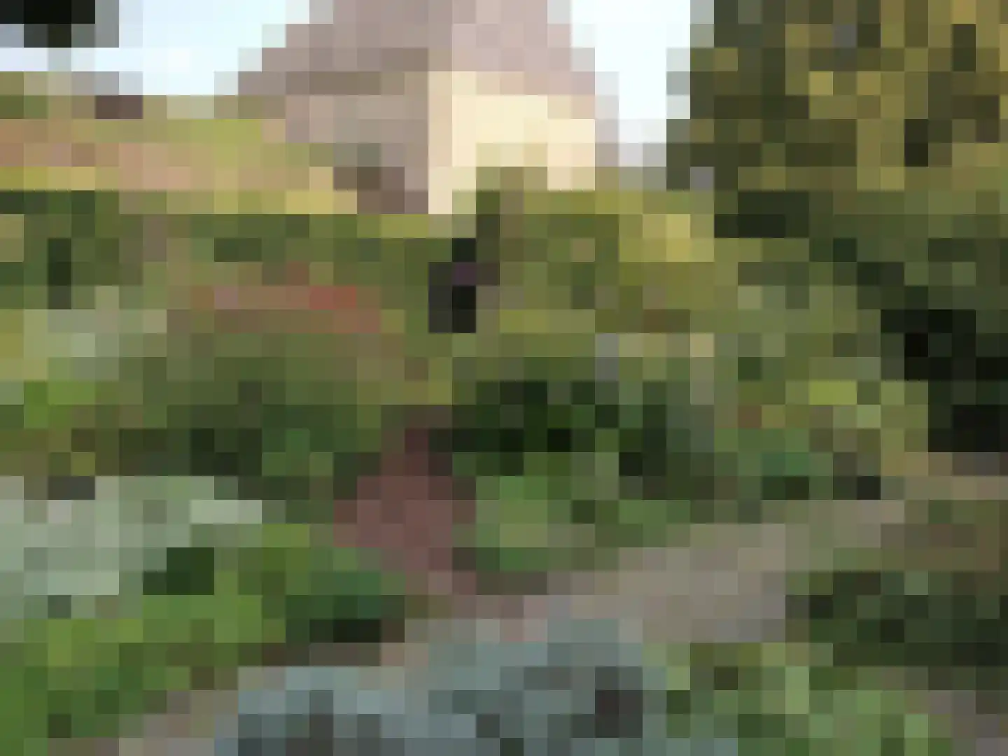 Batterijenstraat 1 Bourtange thumbnail 68