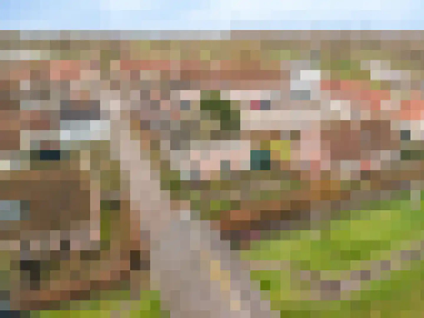Batterijenstraat 1 Bourtange thumbnail 8