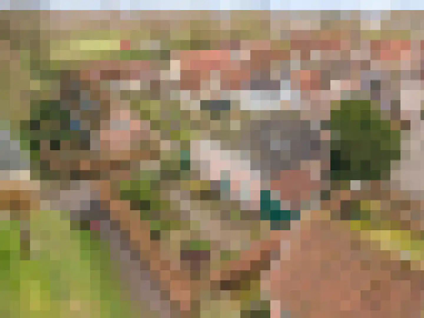 Batterijenstraat 1 Bourtange thumbnail 9