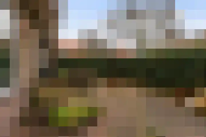 Batterijlaan 18 A Bussum thumbnail 23
