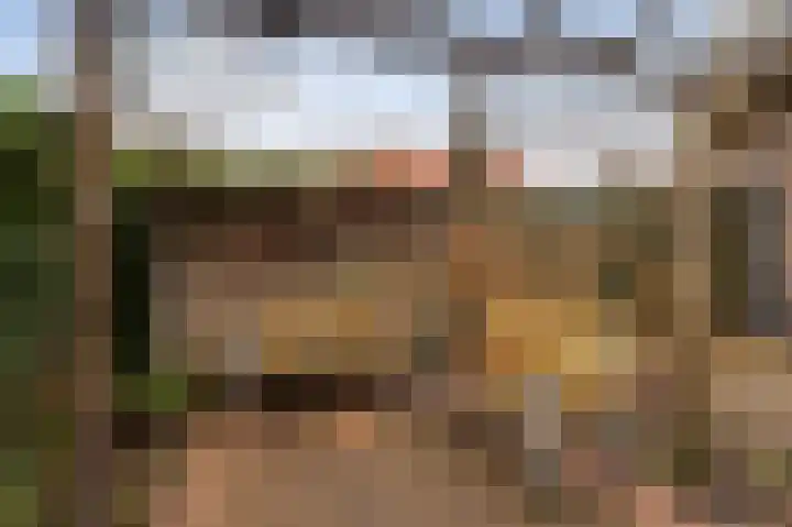 Batterijlaan 18 A Bussum thumbnail 24