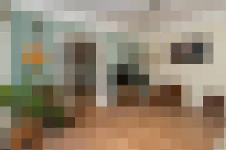 Batterijlaan 18 A Bussum thumbnail 8