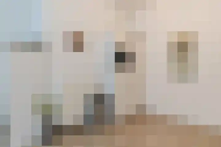 Battutalaan 629 Utrecht thumbnail 12