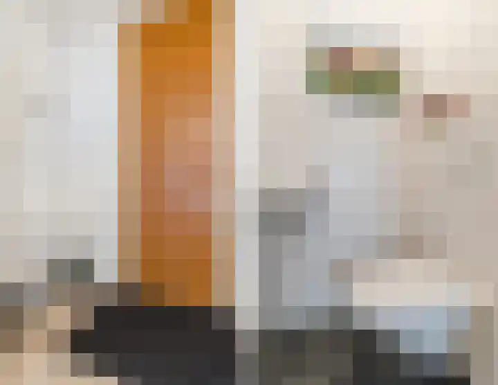 Battutalaan 629 Utrecht thumbnail 8