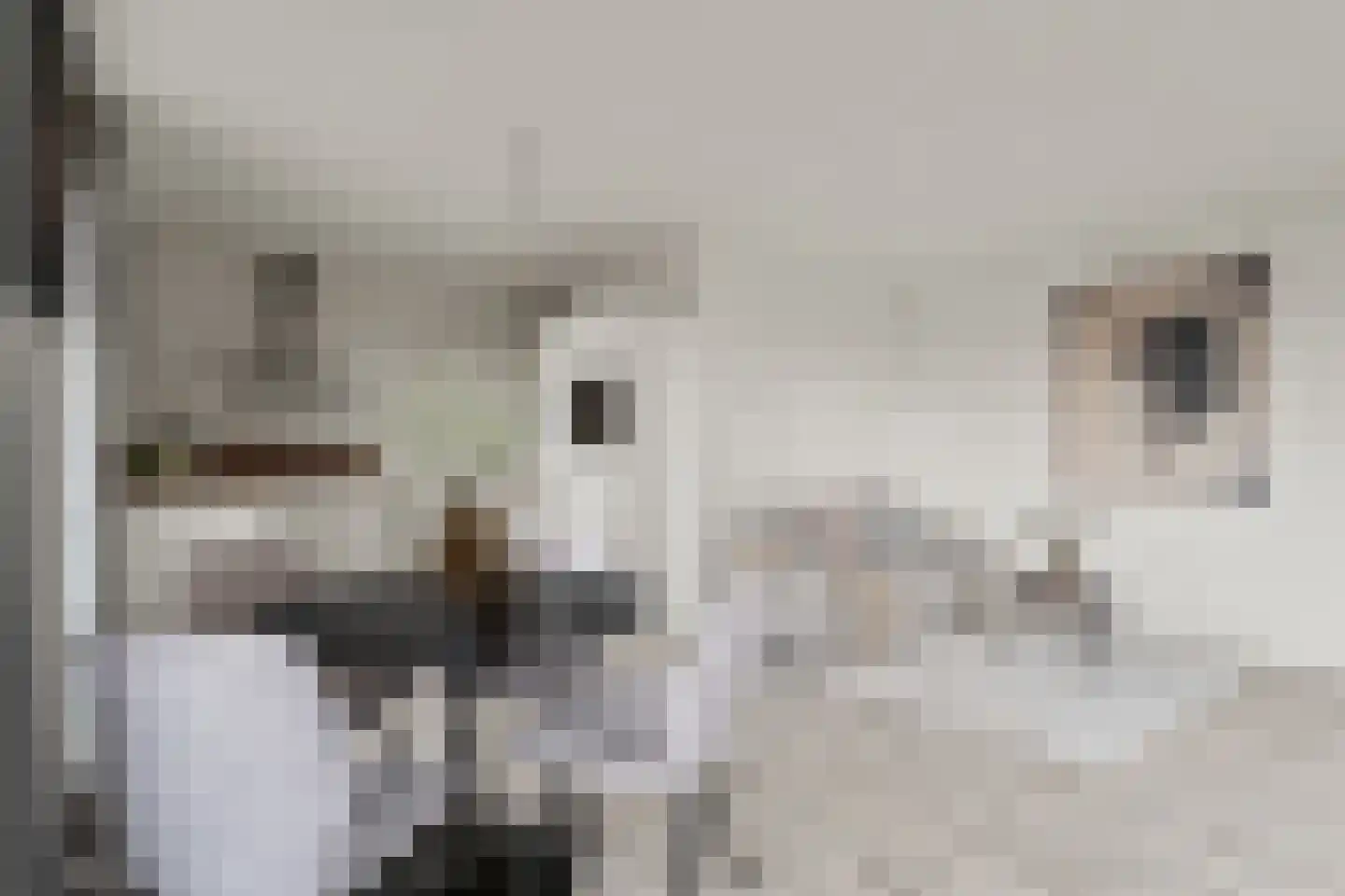 Battutalaan 651 Utrecht thumbnail 13