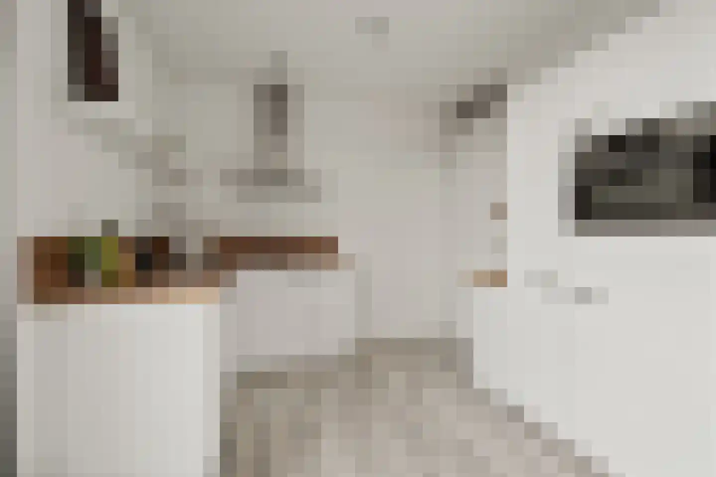 Battutalaan 651 Utrecht thumbnail 14
