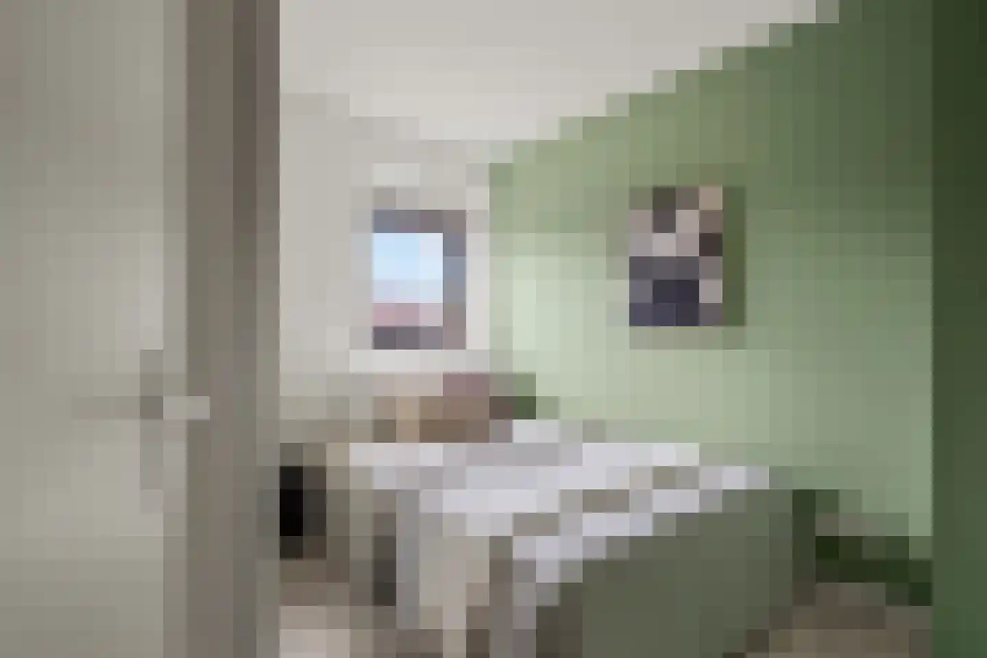 Battutalaan 651 Utrecht thumbnail 21