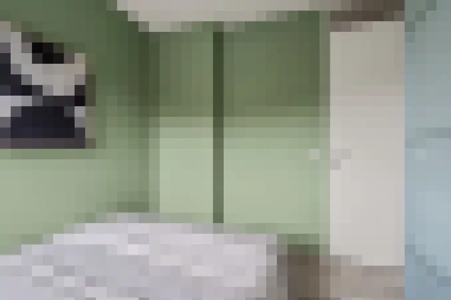 Battutalaan 651 Utrecht thumbnail 23