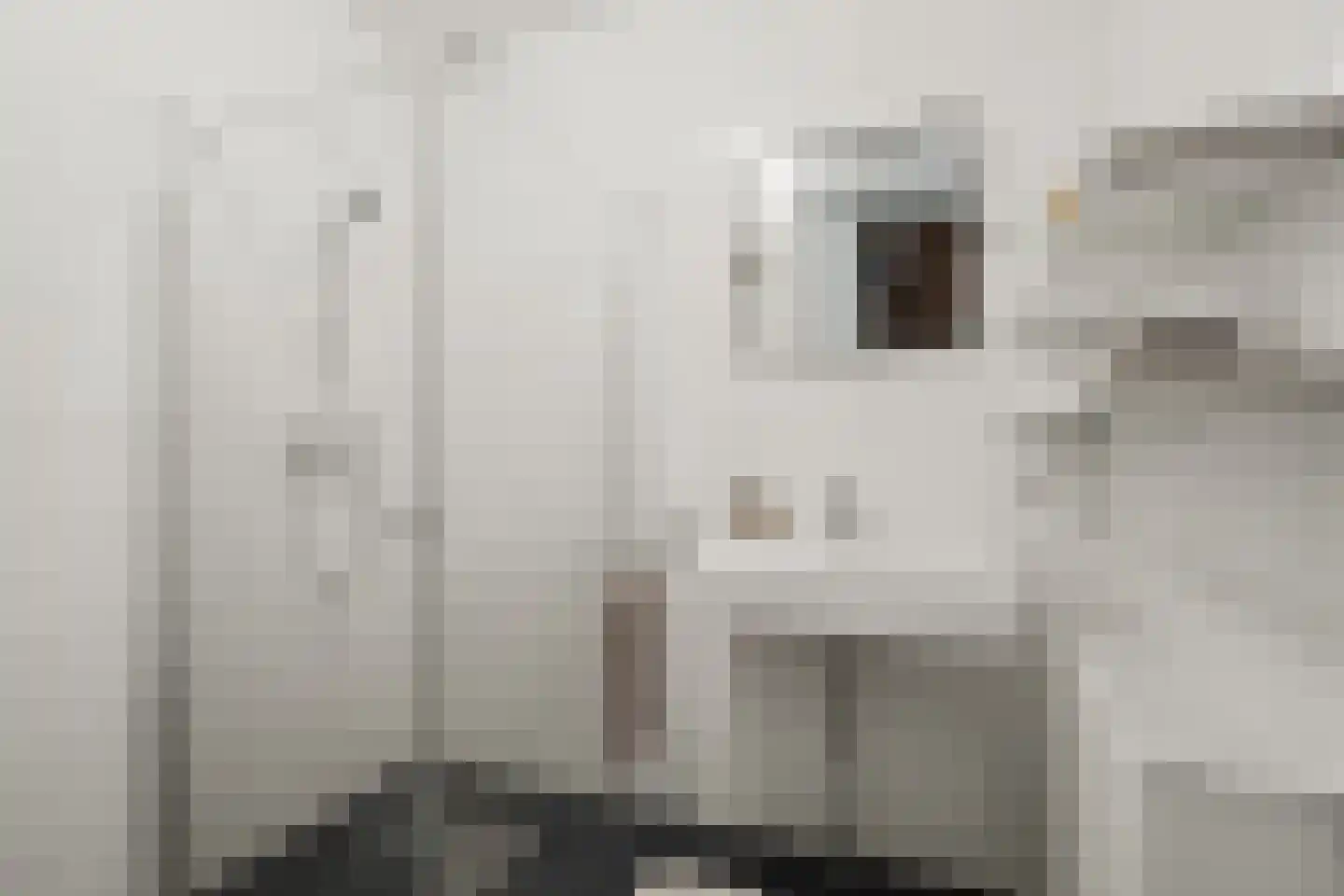 Battutalaan 651 Utrecht thumbnail 24