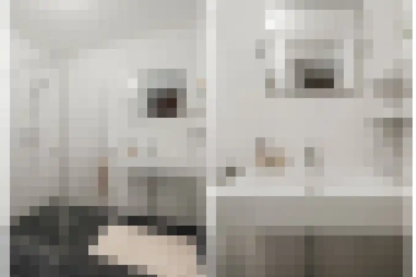 Battutalaan 651 Utrecht thumbnail 25