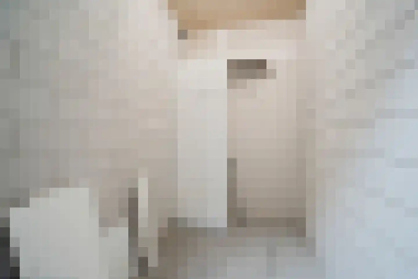 Battutalaan 651 Utrecht thumbnail 31