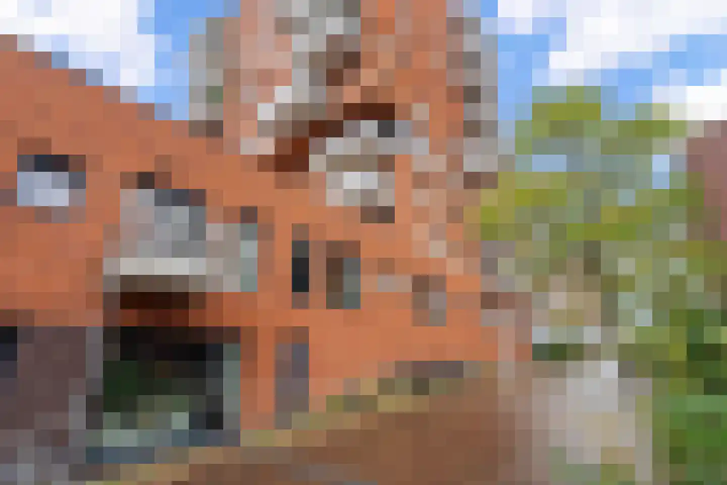 Battutalaan 651 Utrecht thumbnail 33