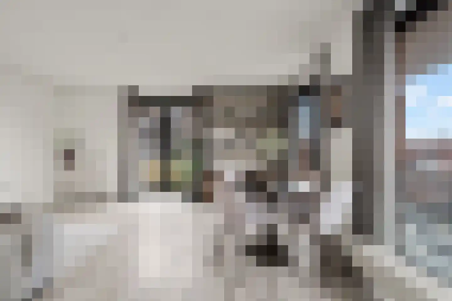 Battutalaan 651 Utrecht thumbnail 5