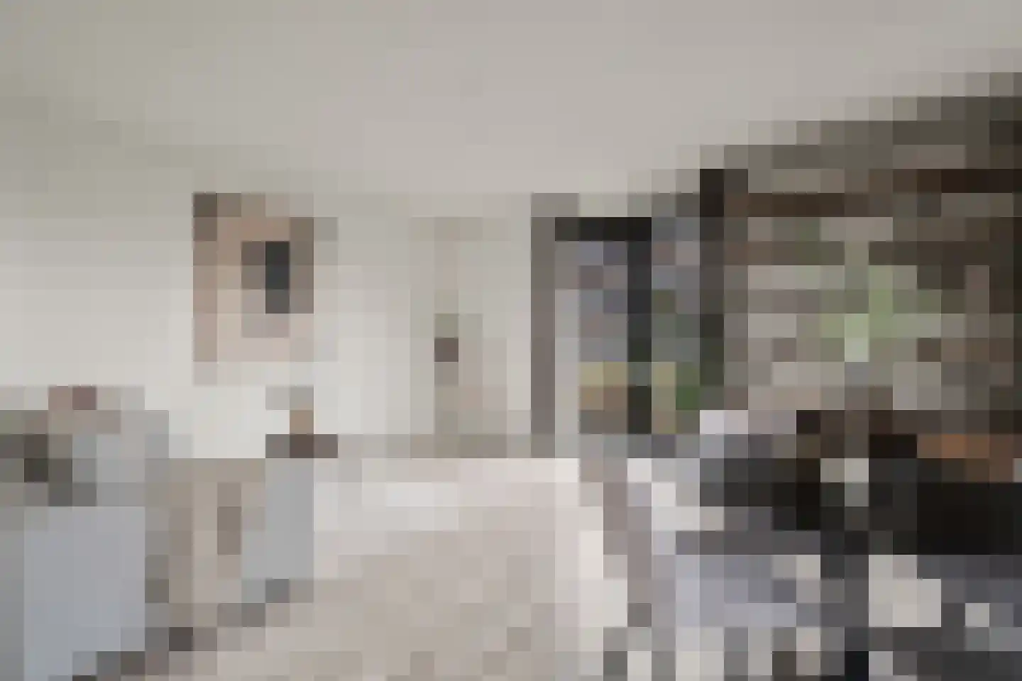 Battutalaan 651 Utrecht thumbnail 6