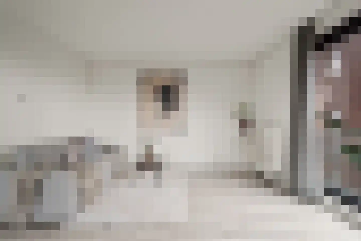 Battutalaan 651 Utrecht thumbnail 7