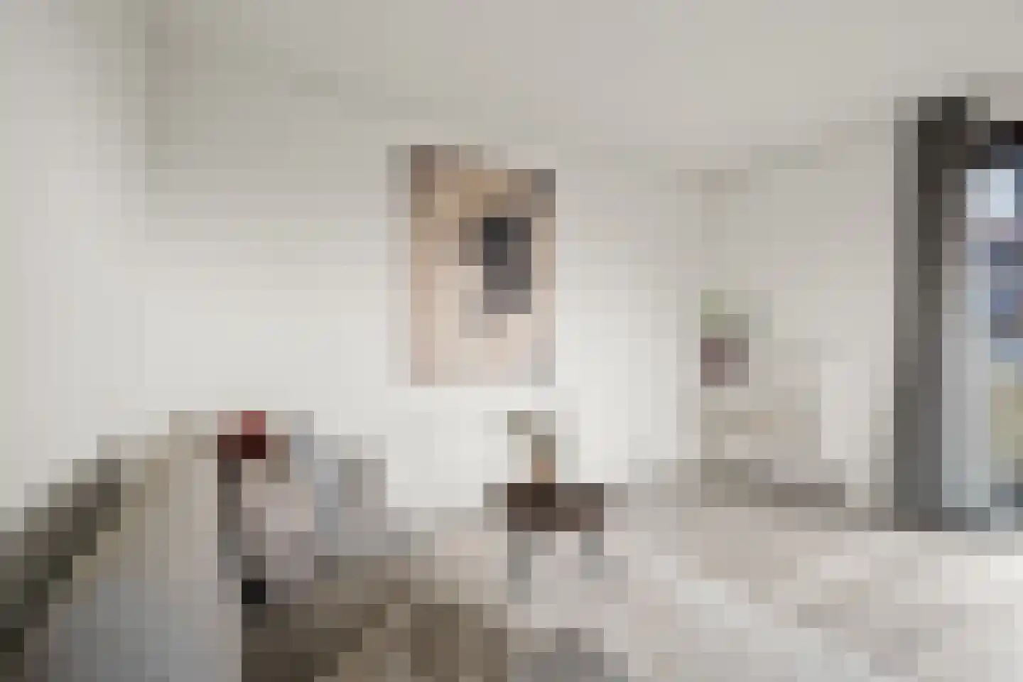 Battutalaan 651 Utrecht thumbnail 8