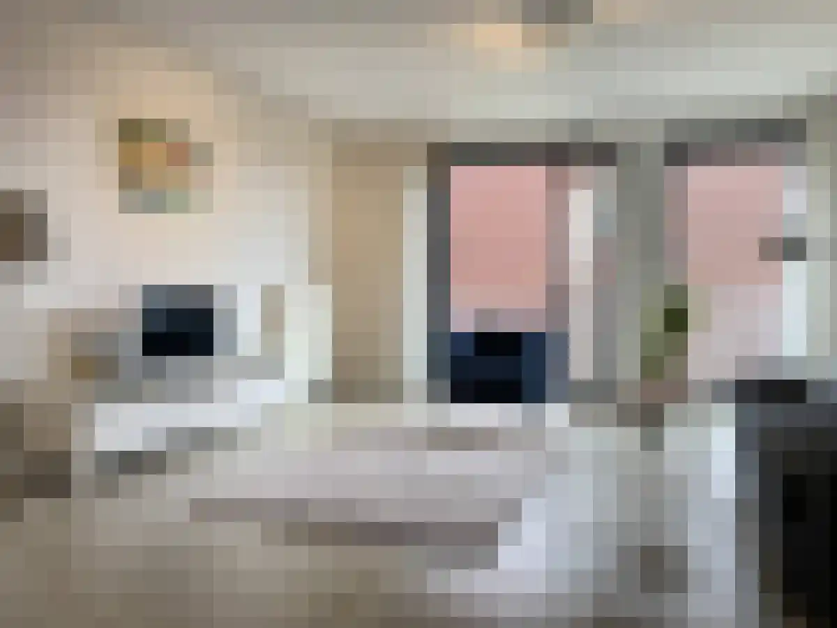 Battutalaan 657 Utrecht thumbnail 6