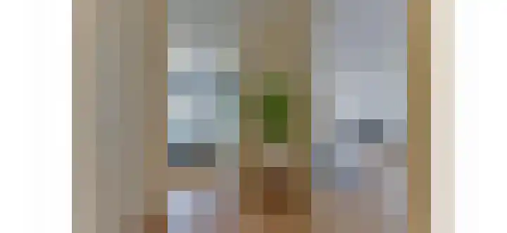 Battutalaan 657 Utrecht thumbnail 8