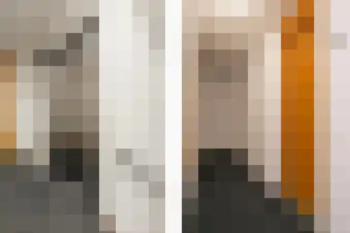 Battutalaan 665 Utrecht thumbnail 20